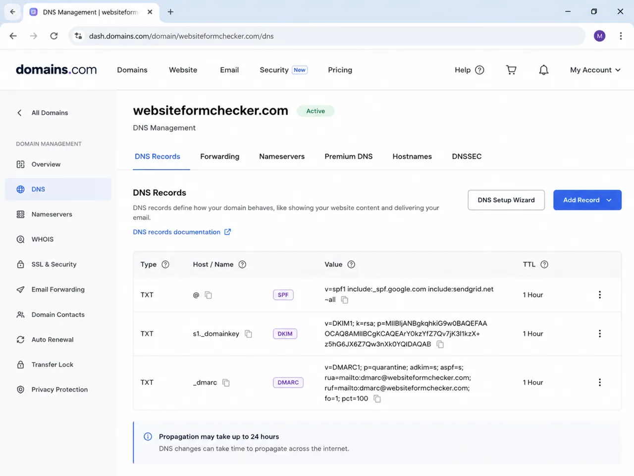 DNS management screen showing SPF, DKIM, and DMARC records for email authentication.